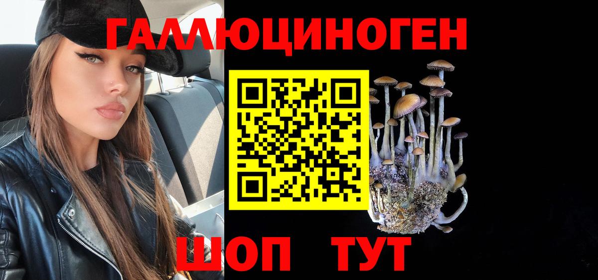 Псилоцибиновые грибы GOLDEN TEACHER Коломна